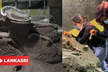 இத்தாலியில் 2000 ஆண்டுகள் பழமை வாய்ந்த தேர் கண்டுபிடிப்பு!