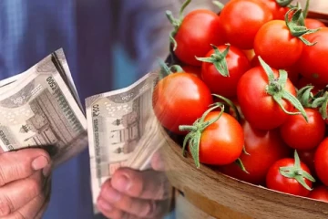 ஒரே நாளில் 38 லட்ச ரூபாய் வருமானம்! தக்காளி விற்று லட்சாதிபதியான விவசாயி