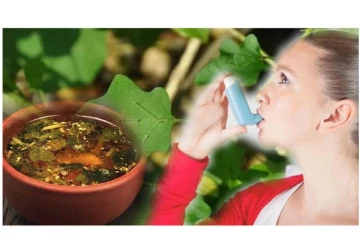 ஆஸ்துமா நோயை விரட்டியடிக்கும் தூதுவளை சூப் - செய்வது எப்படி?