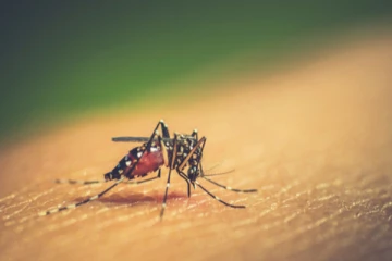 පාසල් ළමුන්ට අනතුරු ඇගවීමක්