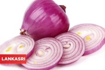 வீட்டின் மூலையில் வெங்காயத்தை நறுக்கி வைத்தால் போதும்! கிடைக்கும் ஆச்சரிய நன்மைகள்