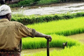 කුඹුරට වැටි සිසුවෙක් ජීවිතක්ෂයට