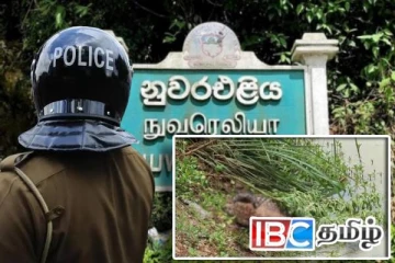 நுவரெலியாவில் உயிருக்கு போராடிய சிறுத்தை பாதுகாப்பாக மீட்பு