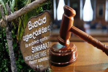 சிங்கராஜ வனம் தொடர்பில் நீதிமன்றம் வெளியிட்ட அறிவிப்பு