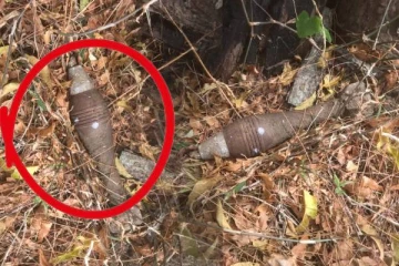 முல்லைத்தீவில் தனியார் காணியிலிருந்து செல் மீட்பு