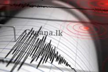 නගරයක් ආසන්නයේ භූ කම්පනයක්.