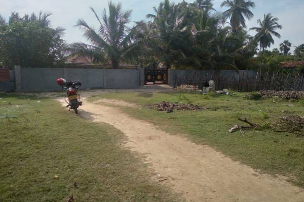 யாழில் விசேட அதிரடிப் படையினர் நடத்திய தாக்குதல்: ஒருவர் வைத்தியசாலையில்! | Jaffna Thenmarachchi Special Task Force Shooting