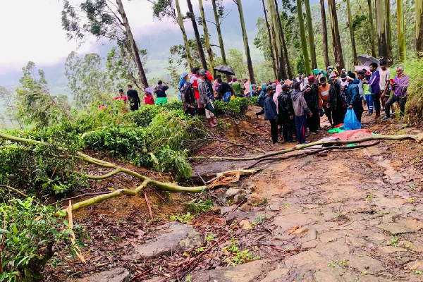 விறகு சேகரிக்க சென்ற இளம் குடும்பஸ்தருக்கு நேர்ந்த துயரம் | Young Family Member Dies Falling From Tree Branch