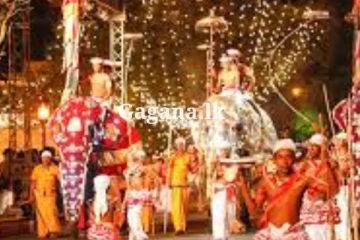 කුඹල් පෙරහැර අතරතුර ඇතුන් දෙදෙනෙක් කුලප්පු වෙයි - හිස් ලූ ලූ අත දිවගිය පිරිසක් නුවර වැවට වැටෙයි..