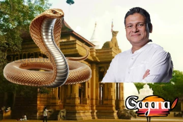 දිලිත් හදිසියේ කැළණි යයි - පන්සලේ නයා ආයෙත් නටවයිද?