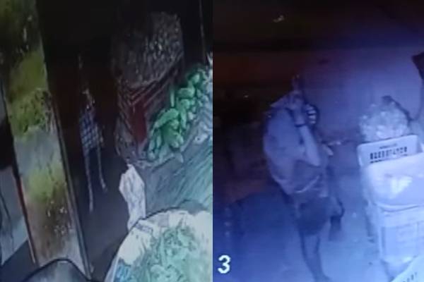 ‘தம்பி யாருப்பா நீ’..நாயை காவலுக்கு நிறுத்திவிட்டு கடையில் புகுந்து பணம் திருடும் சிறுவன் - தமிழ்நாடு