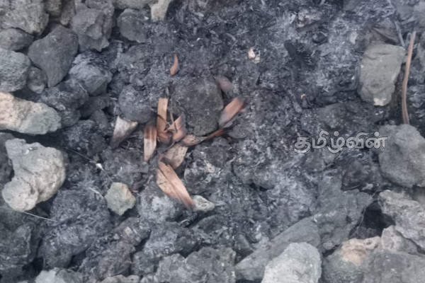 நெடுந்தீவில் நடந்த கொடூரம்: பொலிஸாருக்கு பயந்து உரிமையாளர்களின் வெறிச்செயல் | Owner Burns Pigeons In Nedunthee Due Fear Police