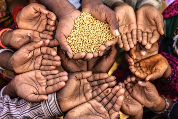 உலகளாவிய உணவுப் பாதுகாப்பின்மை : இந்தியா விடுத்துள்ள கோரிக்கை | India Resumes Food Aid To Sri Lanka