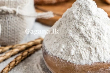 තිරිඟු පිටි නැත්තටම නැති වෙයි ද?..