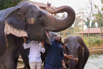 முகேஷ் அம்பானி மகனுக்கு கடும் சிக்கல்... ரிலையன்ஸ் குழுமத்தின் வந்தாரா மீது விசாரணை