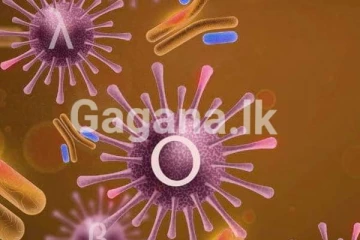 කොවිඩ් ව්‍යාප්තිය යළි ඇරඹේ...