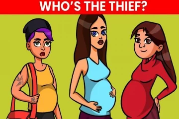 IQ Test: கர்ப்பிணியாக நடித்து ஏமாற்றும் பெண்.. தீர்க்கவே முடியாத புதிர்