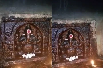 அதிசயம் ஆனால் உண்மை - பூவை விழுங்கும் பிள்ளையார் - வைரல் வீடியோ