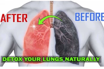 Lungs Detox Foods: நுரையீரலை சுத்தப்படுத்தும் 5 முக்கிய உணவுகள்