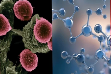 அமெரிக்காவில் கேன்சருக்கான புதிய சிகிச்சைமுறை கண்டுப்பிடிப்பு