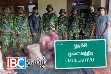 முல்லைத்தீவு காட்டினுள் மரையை வேட்டையாடிய சந்தேகநபர் கைது!