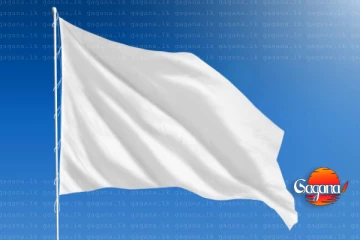 හිටපු මන්ත්‍රීවරයෙක් බිහිසුණු අනතුරකින් ජීවිතක්ෂයට