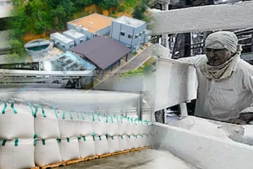 தமிழர் பகுதியில் பாரிய முதலீட்டுத் திட்டம் - களமிறங்கும் தாய்லாந்து நிறுவனம்