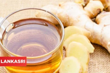 மிக விரைவில் உடல் எடை குறைத்து, நோய் எதிர்ப்பு பெற இந்த டீயை தவறாமல் குடியுங்கள்!