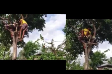 வீட்டில் வசதி இல்லை - மரத்தில் கட்டிலைக் கட்டி தனிமைப்படுத்திக்கொண்ட வாலிபர்