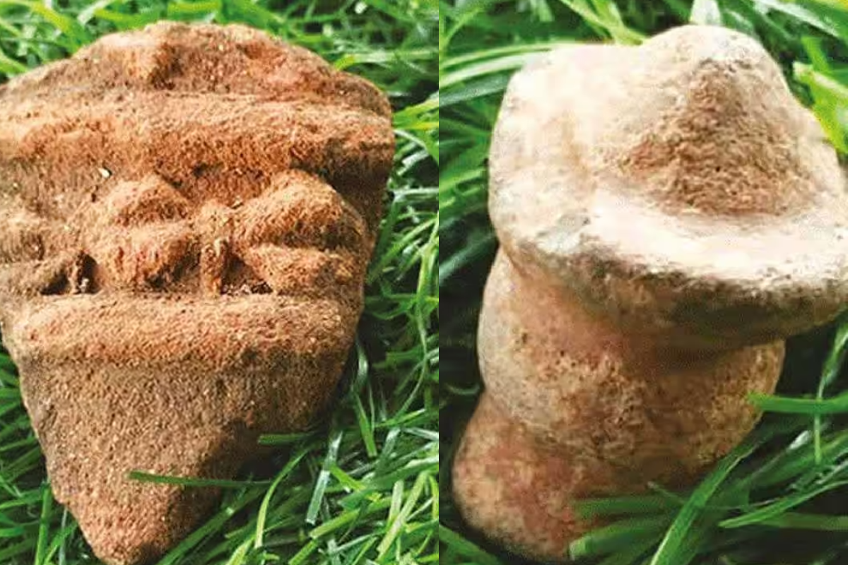 3 ஆயிரம் ஆண்டுகள் பழமையான பானை ஓடுகள் கண்டுபிடிப்பு | 3000 Year Old Pottery Shards Discovered
