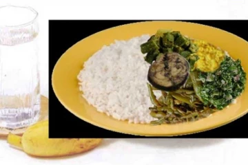 පාසල් දරුවන් සදහා අලුත් වැඩසටහනක් ?..