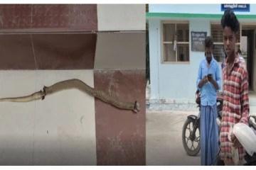 பாம்பு கடித்தது கூட தெரியாமல் கேம் விளையாடிய சிறுவன்: மருத்துவமனைக்கு கடித்த பாம்பை கொண்டு வந்ததால் பரபரப்பு