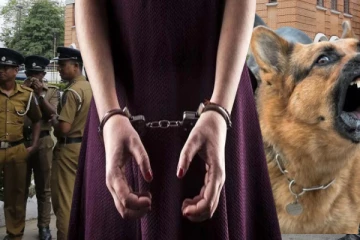 நாய்க்கு மரண தண்டனை விதித்த பெண் கைது!