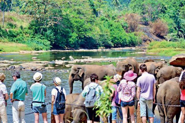 இலங்கையில் பெருமளவு குவிந்த வெளிநாட்டு சுற்றுலாப் பயணிகள்! | A Large Number Of Foreign Tourists In Sri Lanka இலங்கையில் பெருமளவு குவிந்த வெளிநாட்டு சுற்றுலாப் பயணிகள்! | A Large Number Of Foreign Tourists In Sri Lanka
