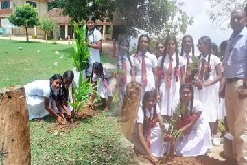 கிளிநொச்சியில் இரு பாடசாலை மாணவர்களின் முன்மாதிரியான செயற்பாடு