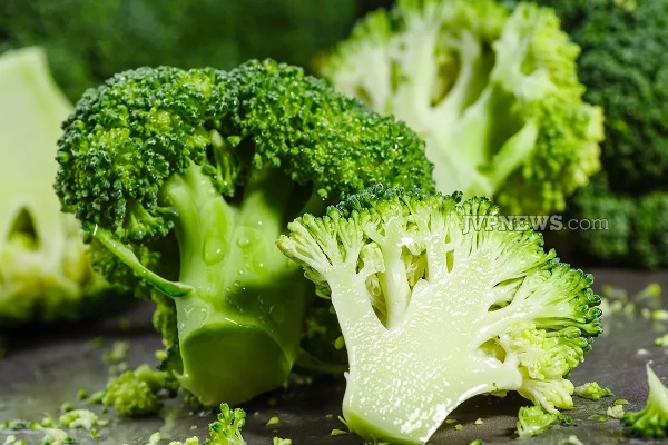 உடல் பருமனை குறைக்க உதவும் ப்ரோக்கோலி காபி | Broccoli Coffee Helps Reduce Obesity