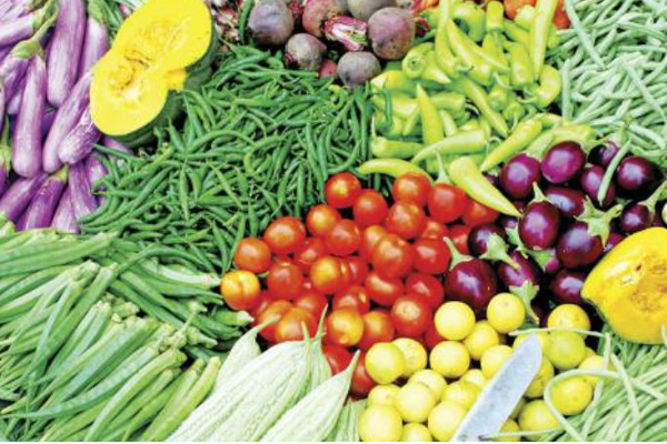 யாழ். மரக்கறி செய்கை விவசாயிகளுக்கு விவசாய கடன் முறைமை நடைமுறைப்படுத்த திட்டம் | Agricultural Credit System For Farmers