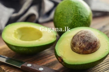 කෑවට බීවට රස කර කර යහමින්, දැනගෙන හිටියා ද මෙහෙමයි කියා අලිගැටපේර..