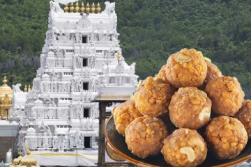 திருப்பதியில் சுமார் 20 கோடி லட்டுகளில் கலப்படம்.. வெளியான அதிர்ச்சி தகவல்