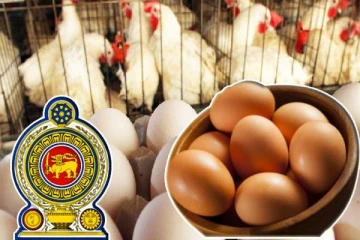 முட்டை இறக்குமதி : அரசாங்கத்தின் தீர்மானத்திற்கு கடும் எதிர்ப்பு