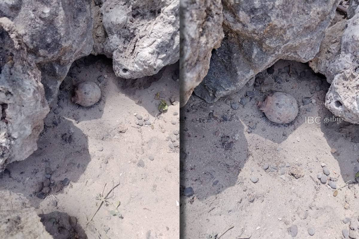 யாழ்.மாதகலில் வெற்றுக் காணிக்குள் இருந்த கைக்குண்டு! | Hand Grenade Found In Empty Land In Jaffna யாழ்.மாதகலில் வெற்றுக் காணிக்குள் இருந்த கைக்குண்டு! | Hand Grenade Found In Empty Land In Jaffna