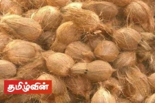 வெளிநாடுகளில் இருந்து தேங்காய் பத்தைகளை இறக்குமதி செய்ய அனுமதி