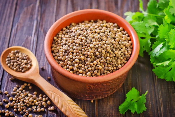 நீரிழிவு நோயைக் கட்டுக்குள் வைக்கும் கொத்தமல்லி | Coriander Keeps Diabetes Under Control