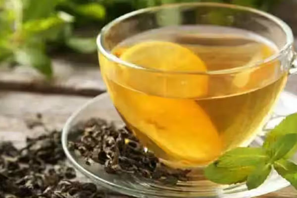 கிரீன் டீ பிரியர்களே தவறியும் இதை செய்யாதீர்கள் | Green Tea Lovers Dont Do This