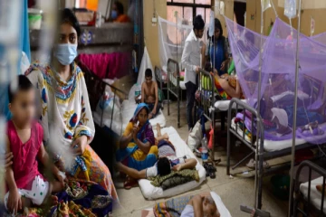 ஒரே நாளில் 2,292 பேருக்கு டெங்கு; 176 பேர் பலி - உயிரிழப்புகள் அதிகரிக்கும் அபாயம்!