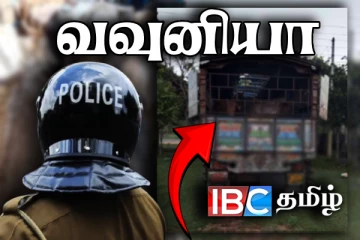 தமிழர் பகுதியில் 20 மாடுகளுடன் சிக்கிய மூவர்