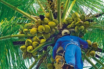 தந்தையின் கண் முன்னே மகனுக்கு நேர்ந்த சோகம்