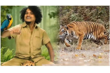 படப்பிடிப்பில் சீறிப் பாய்ந்து கடிக்க வந்த புலி… - ஒரு நொடியில் உயிர் தப்பிய புகழ்... - ஷாக்கான ரசிகர்கள்..!