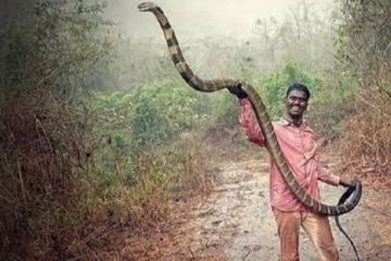 என் உயிர் உள்ள வரை! ராஜநாகம் தீண்டிய வாவா சுரேஷின் உருக்கமான பேட்டி