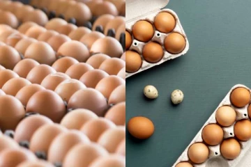 Brand ஆன முட்டை விற்பனை; வங்கி கணக்கு 0 - ரூ.100 கோடி லாபம் -நண்பர்களின் வெற்றி கதை!